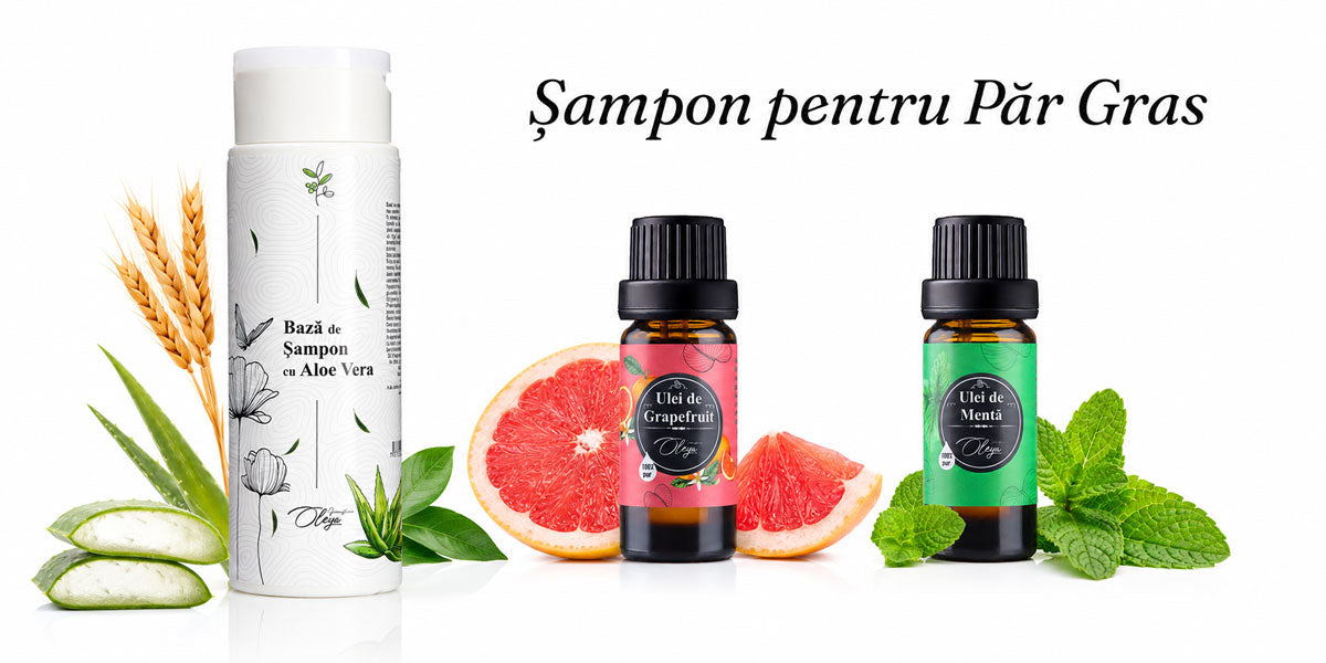 Sampon natural pentru par gras