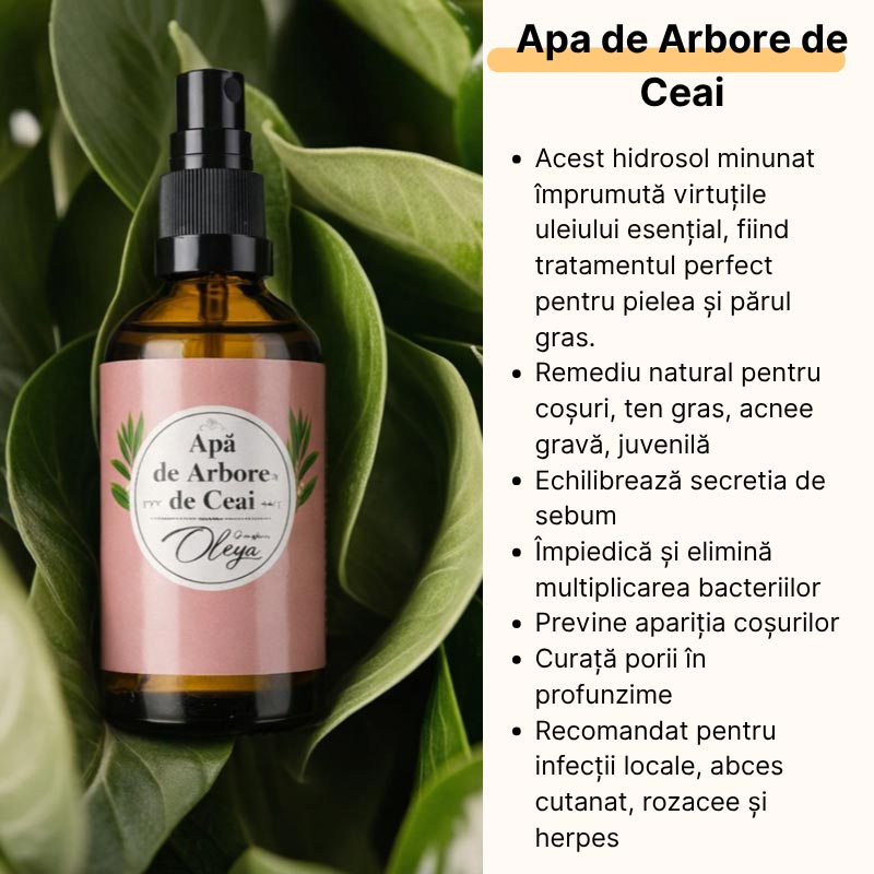 Apa de Arbore de Ceai Hidrosol