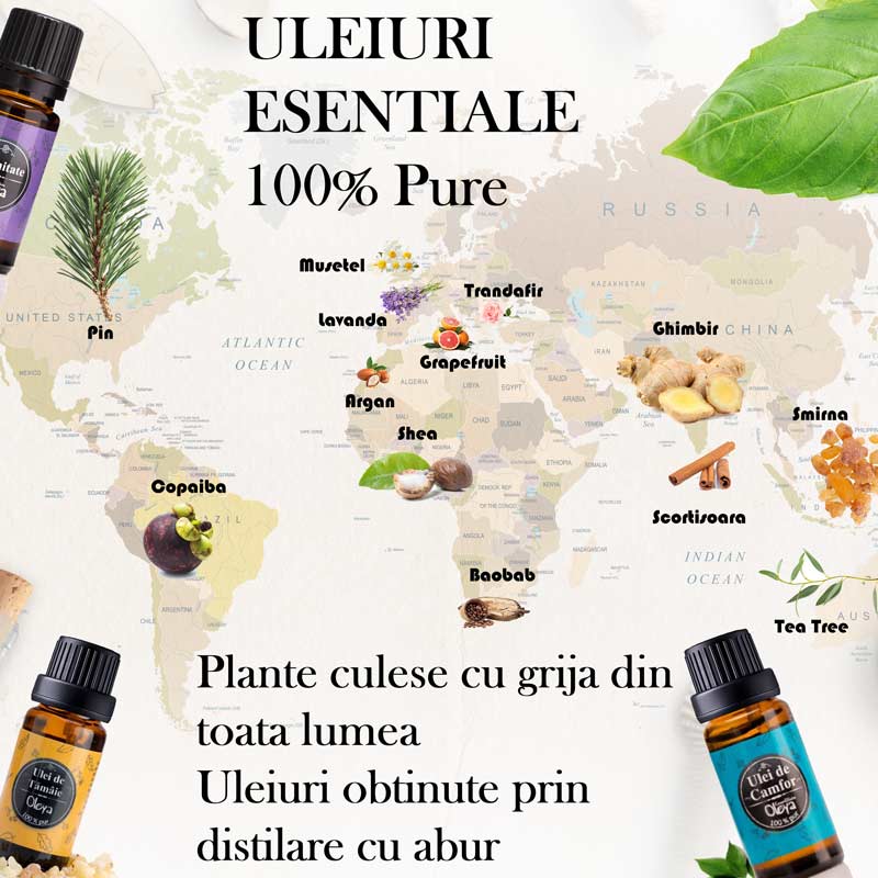 Ulei esential de Valeriana,  100% pur
