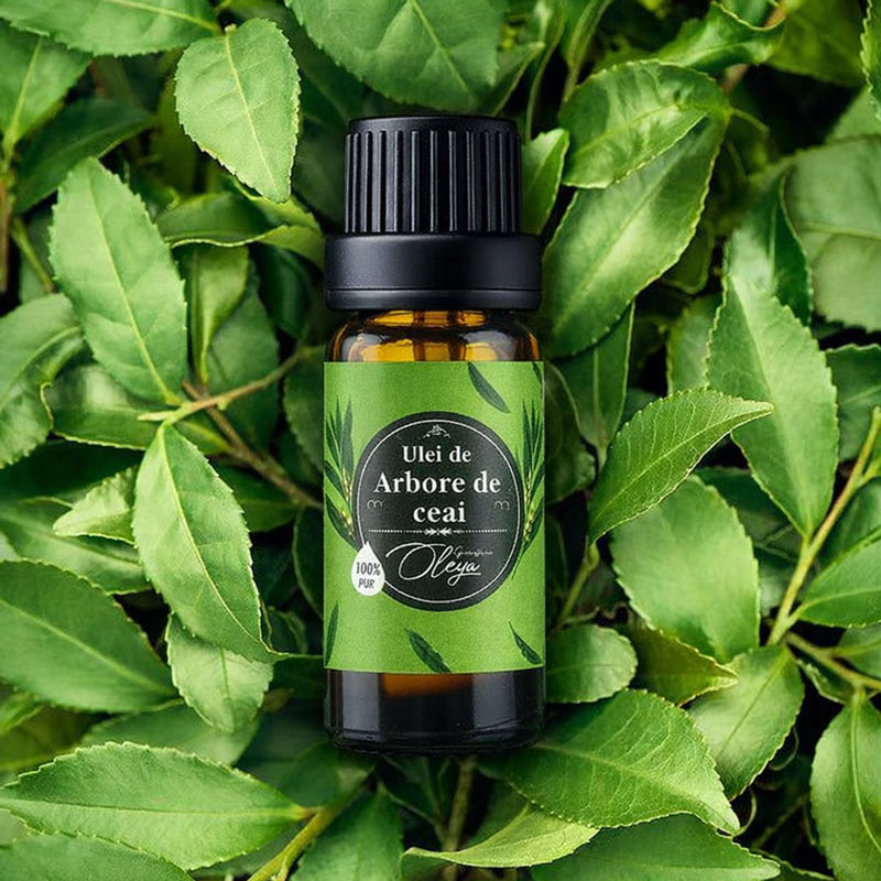 Top 5 uleiuri esențiale - Kit pentru Aromaterapie